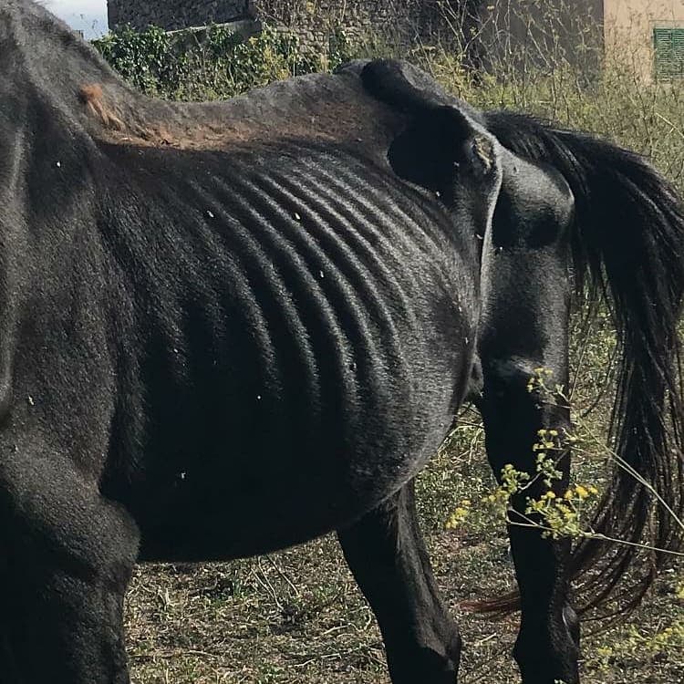 OCTOBER 2020