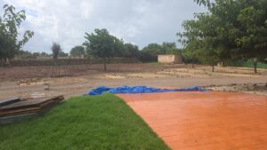 animal police newsletter oktober 2025 2025 11 04 at 17.08.45 - Animal Police Association