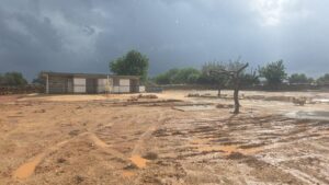 animal police newsletter oktober 2025 2025 11 04 at 17.08.46 - Animal Police Association