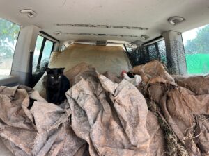 animal police newsletter oktober 2025 2025 11 04 at 17.11.09 2 - Animal Police Association