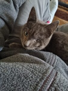 Animal Police Newsletter Januar 2026 01 31 at 03.56.01 - Animal Police Association