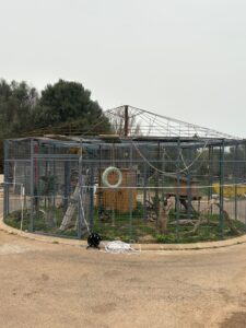 Animal Police Newsletter Maerz26 2026 03 30 at 20.24.34 - Animal Police Association