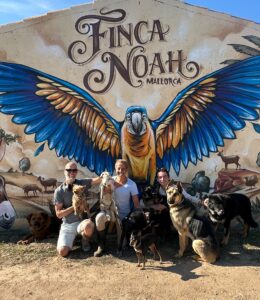 WhatsApp Image 2026 04 15 at 11.34.12 - Animal Police Association